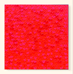 Valentines Day Everyday